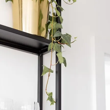 Apartman 32 *